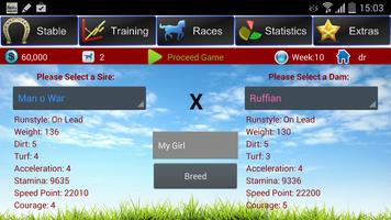 Poster Horse Racing Breeding Game