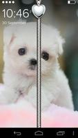 White Puppy Zip Lock Affiche