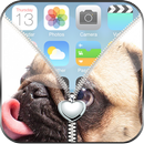 Sweet Pug Puppy Zip Lock APK