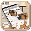 3d cute cat APK