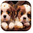 Cute Dogs Keyboard icône