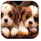 Cute Dogs Keyboard icon