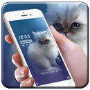 APK Sweet kitten cute theme