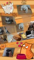 cute cat keyboard brown maine coon imagem de tela 2