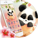 Panda Sakura Theme APK