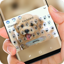 Cute Puppy Wallpaper Theme APK