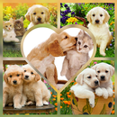 Cute Pets Jigsaw Puzzles APK