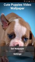 Cute Puppies Video Wallpaper โปสเตอร์