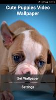 Cute Puppies Video Wallpaper Affiche