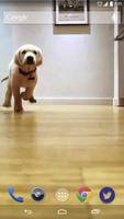 Cute Pups Running Live Wallpap скриншот 1