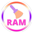 Ram Cleaner
