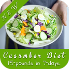 Best Cucumber Diet Weightloss Plan أيقونة