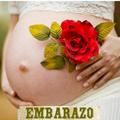 Cuidados Embarazo