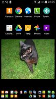 Widget for Google Photos screenshot 1