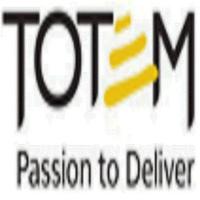 totem cyber security solutions Affiche