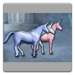 Charlie The Unicorn 1 2 Quotes