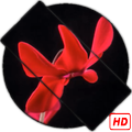 Cyclamen Live Wallpaper HD