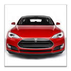 Info aplikace pro Tesla fans icône