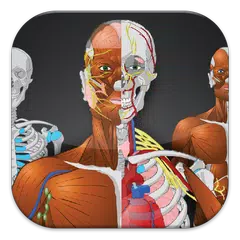 Memorix Anatomy QUIZ APK download