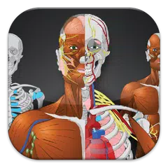 Memorix Anatomy QUIZ APK Herunterladen