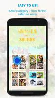 Animals and Sounds - HD animal pictures Affiche