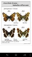 Atlas of Czech Butterflies screenshot 2