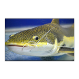 Аквариум Пазлы