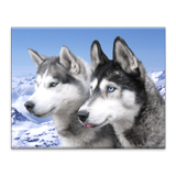 Dogs Jigsaw Puzzles icon