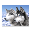 Dogs Jigsaw Puzzles APK