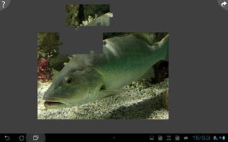 Fishing Jigsaw Puzzle screenshot 3