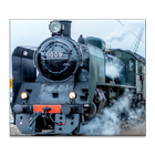 Steam Locomotive Jigsaw icon