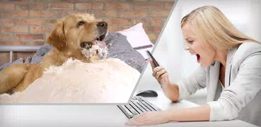 Monitor de Animais Annie: Dog Monitor & Pet Camera