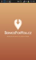 Service for you پوسٹر