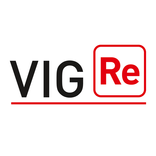 VIG Re Annual Report 2013