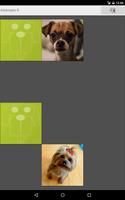 Memory Game Dogs capture d'écran 1