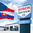Bosch Car Service Asistent