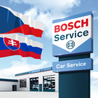 Bosch Car Service icône