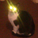 Cat Eyes Flashlight APK