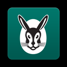 Vaillant icon