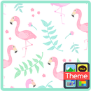 플라밍고 카카오톡 테마 APK