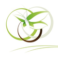 Le Riccoty
