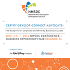 NMSDC 2014 图标