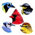 A8 Birds Slot Machine