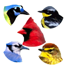 A8 Birds Slot Machine ikona