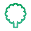 Ushadir icon