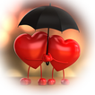 Love Percent- نسبة الحب