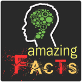 Amazing facts icône