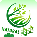 Ambience - Nature Sounds : Relax & Sleep APK