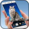 Cat On Screen Prank APK