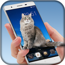 Cat On Screen Prank APK